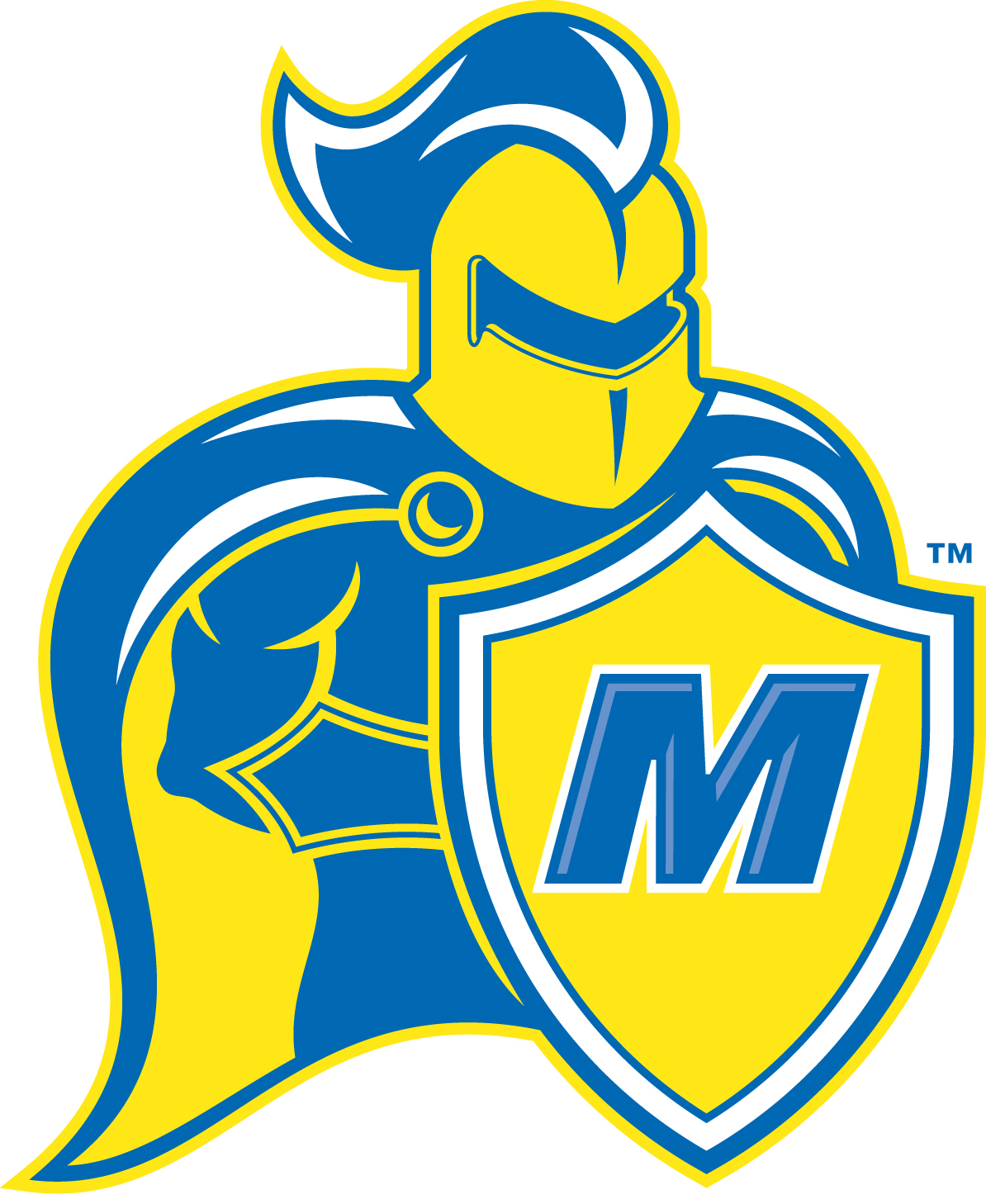 Team Logo